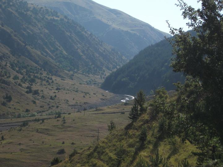 Refahiye Kızıleniş Köyü  Resimleri 4