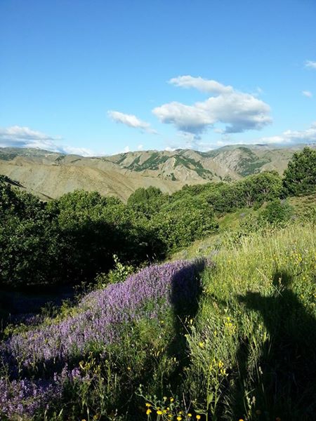 Refahiye Ören Köyü Resimleri 2