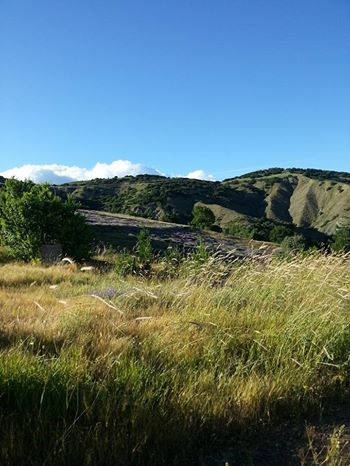 Refahiye Ören Köyü Resimleri 3