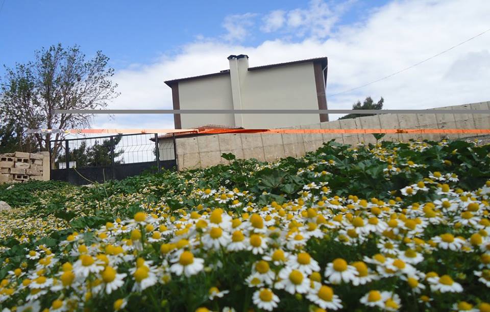 Reyhanlı Oğulpınar Köyü Resimleri 2