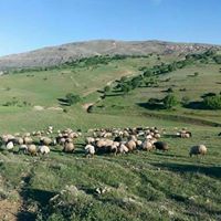 Ergani Çayırdere Köyü Resimleri 10