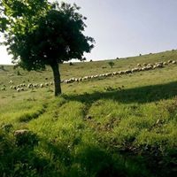 Ergani Çayırdere Köyü Resimleri 11