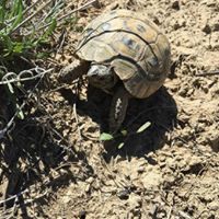 Ergani Çayırdere Köyü Resimleri 6
