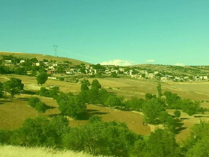 Ergani Dallıdağ Köyü Resimleri 1