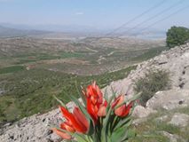 Ergani Dallıdağ Köyü Resimleri 3