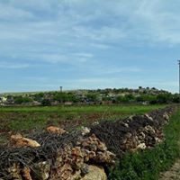 Ergani Dereboyyu Köyü Resimleri 1