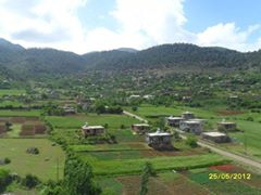 Türkoğlu Doluca Köyü Resimleri 5