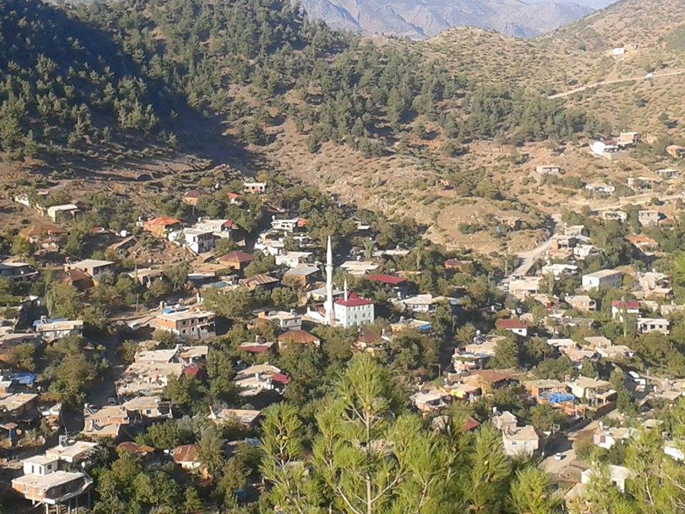 Türkoğlu Doluca Köyü Resimleri 8