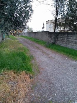 Türkoğlu Göllühüyük Köyü Resimleri 1