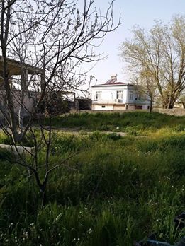 Türkoğlu Göllühüyük Köyü Resimleri 6