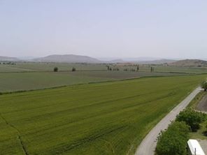 Türkoğlu Göllühüyük Köyü Resimleri 7