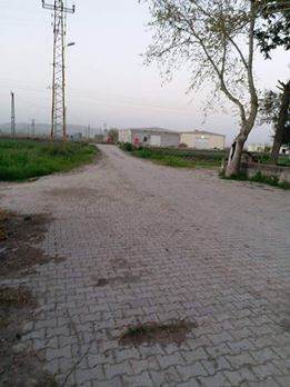 Türkoğlu Göllühüyük Köyü Resimleri 9