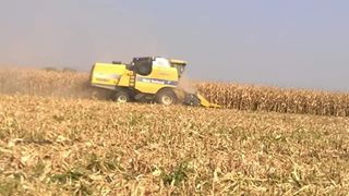 Türkoğlu Hacıbebek Köyü Resimleri 3