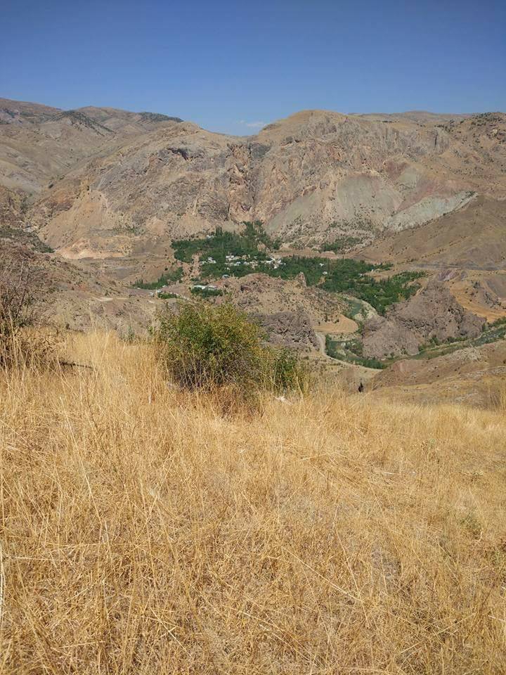 Gölova Yaylaçayı Köyü Resimleri 21