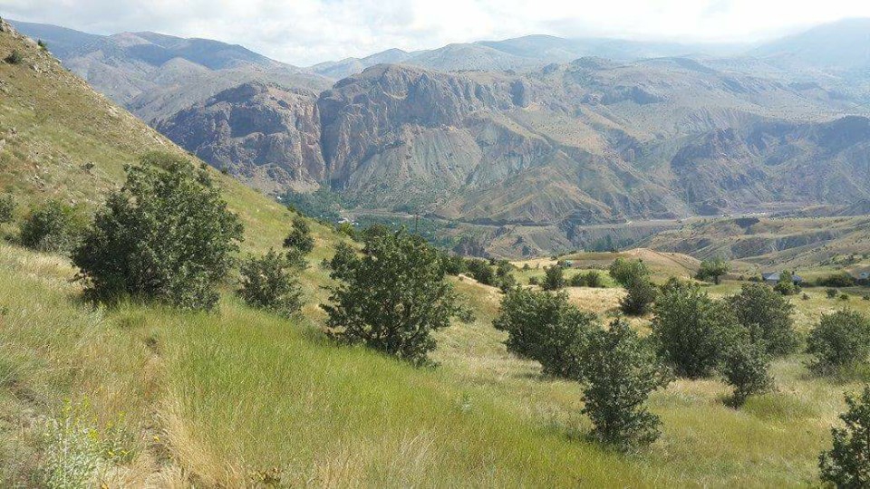 Gölova Yaylaçayı Köyü Resimleri 24