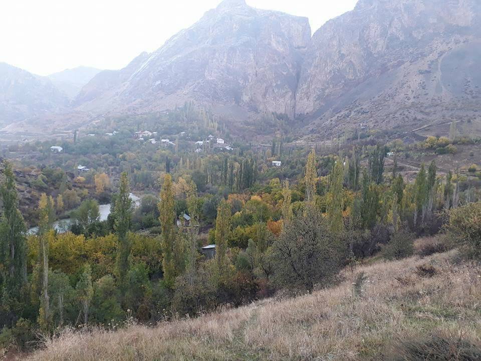 Gölova Yaylaçayı Köyü Resimleri 8