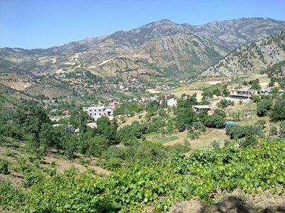 Türkoğlu İmalı Köyü Resimleri 5