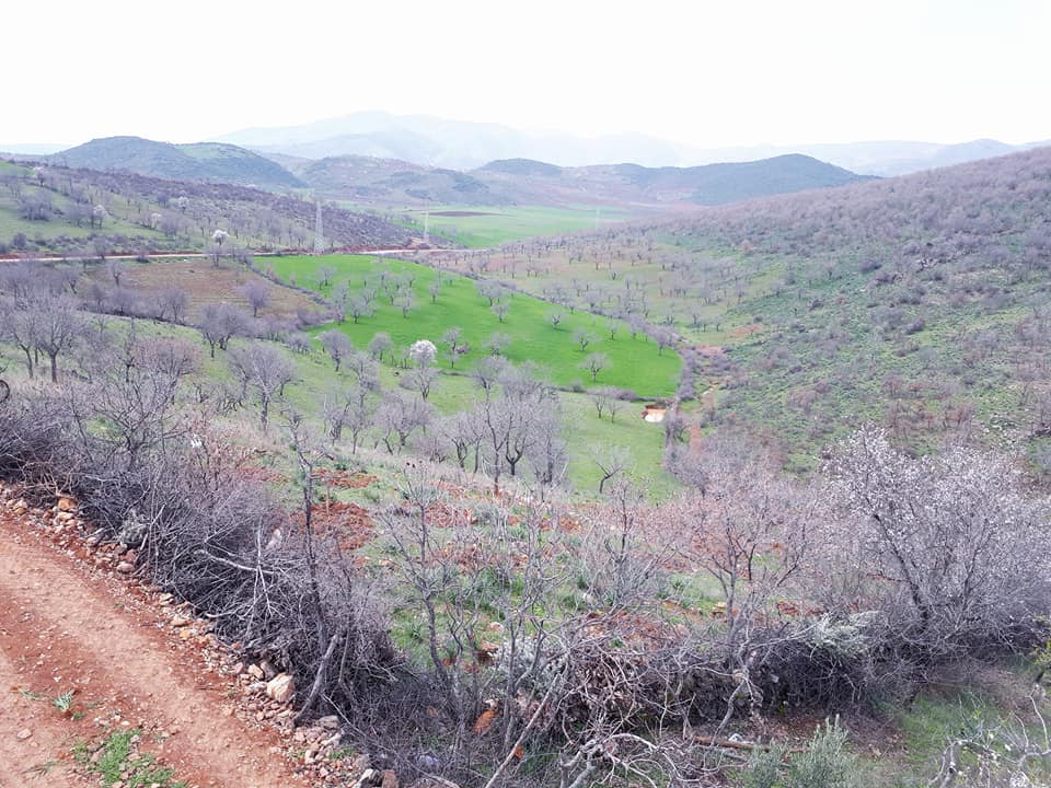 Türkoğlu İmalı Köyü Resimleri 7