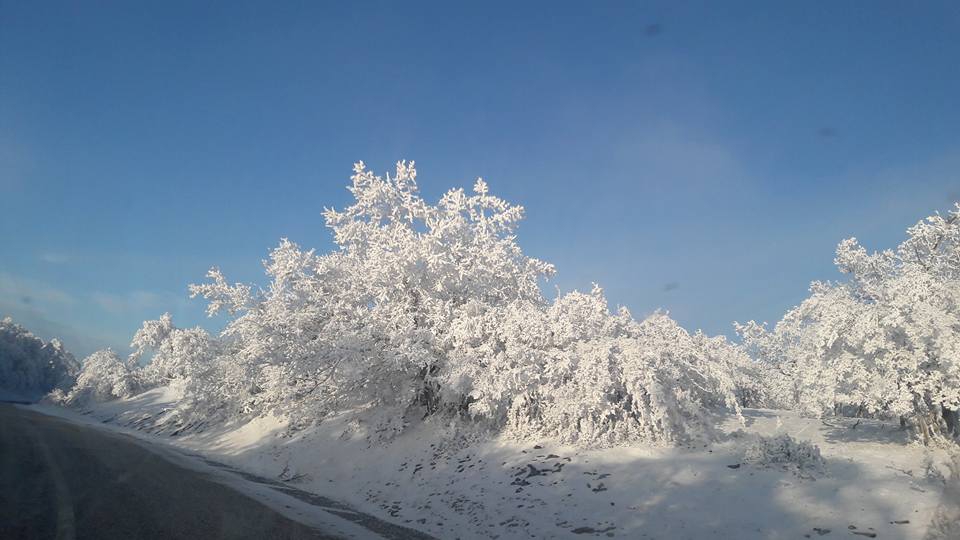 Kofçaz Ahlatlı Köyü Resimleri 4