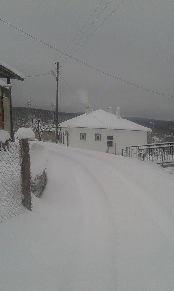 Kofçaz Ahlatlı Köyü Resimleri 5