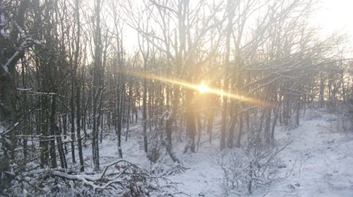 Kofçaz Ahlatlı Köyü Resimleri 8