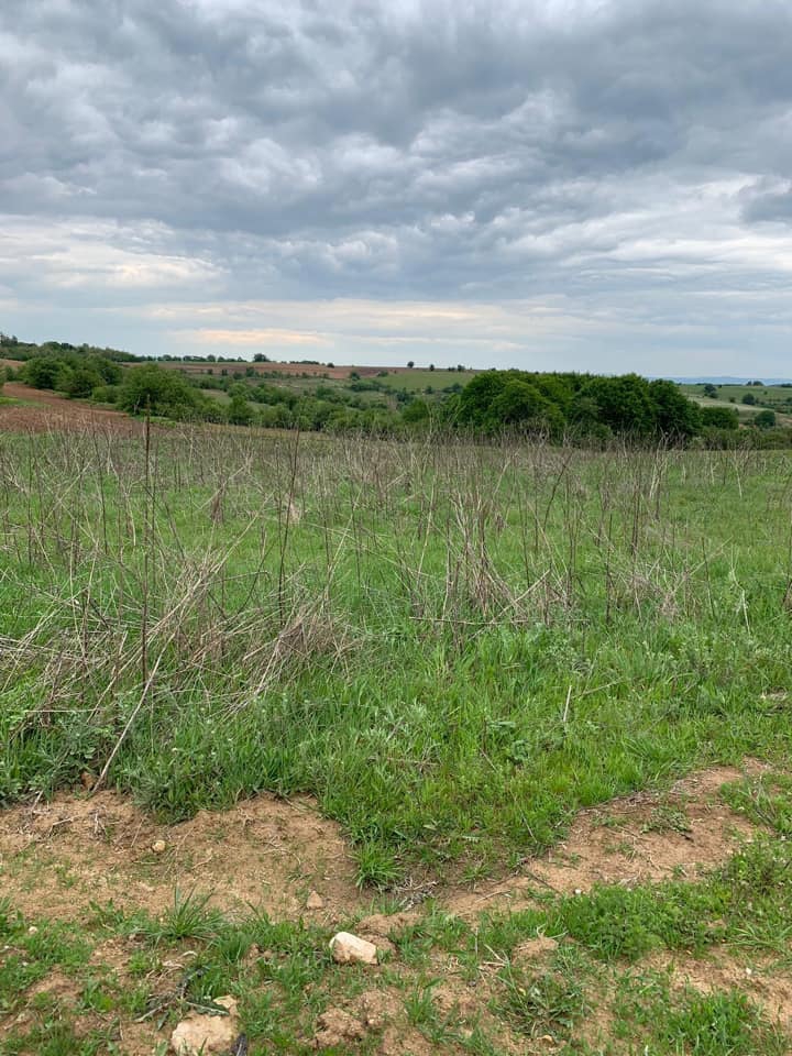 Kofçaz Ahmetler Köyü Resimleri 8