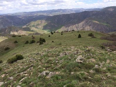 Refahiye Sarıbayır Köyü Resimleri 1