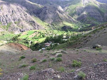 Refahiye Sarıbayır Köyü Resimleri 4