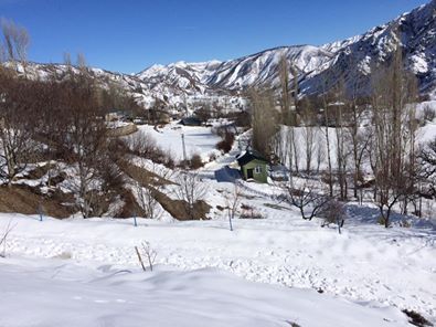 Refahiye Sarıbayır Köyü Resimleri 5
