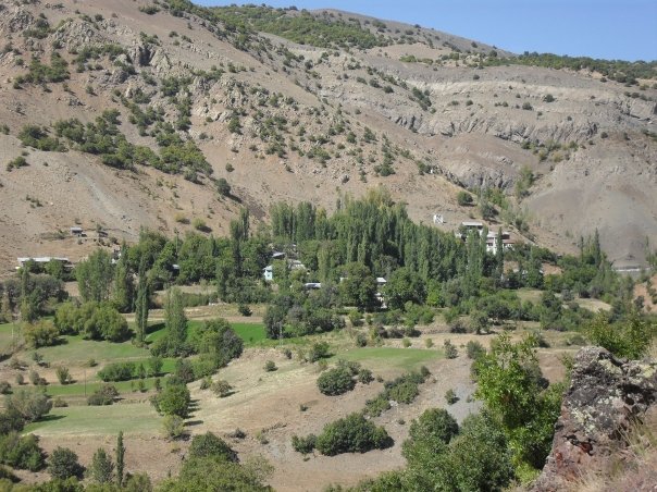 Refahiye Sarıbayır Köyü Resimleri 9