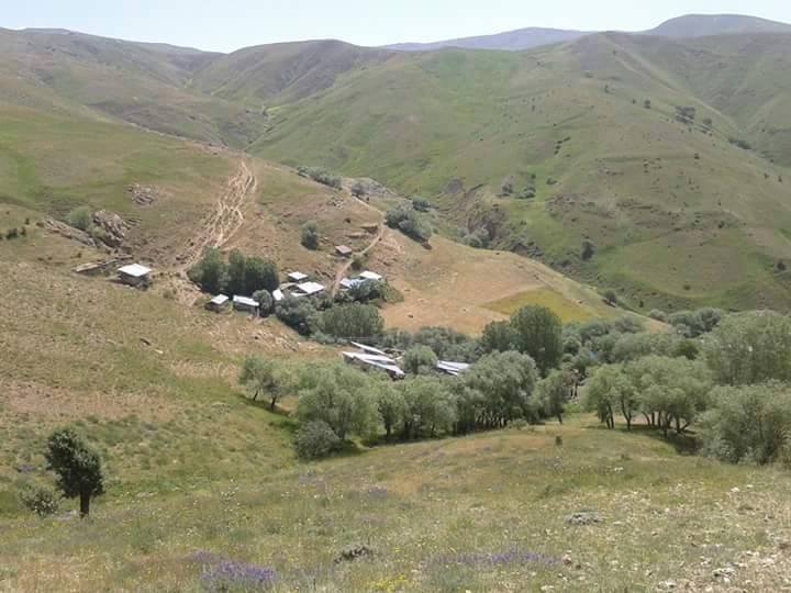 Refahiye Söğütlü Köyü Resimleri 1