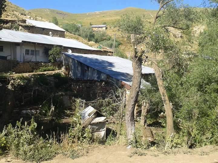 Refahiye Söğütlü Köyü Resimleri 8