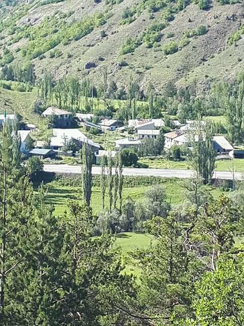 Refahiye Tülüköy Köyü Resimleri 10