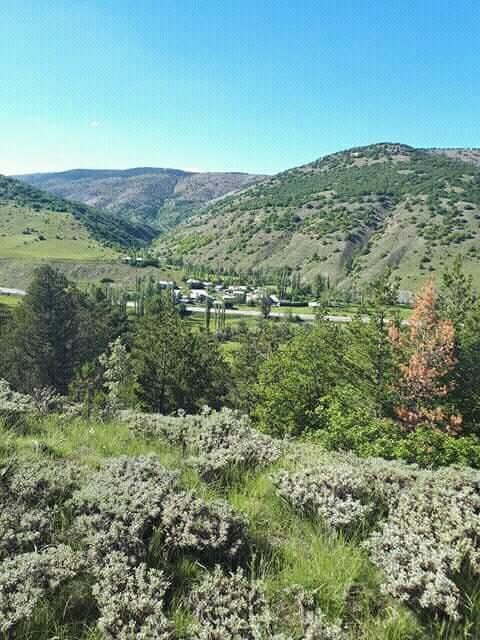 Refahiye Tülüköy Köyü Resimleri 11