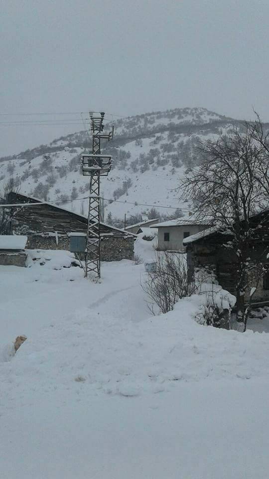 Refahiye Tülüköy Köyü Resimleri 2