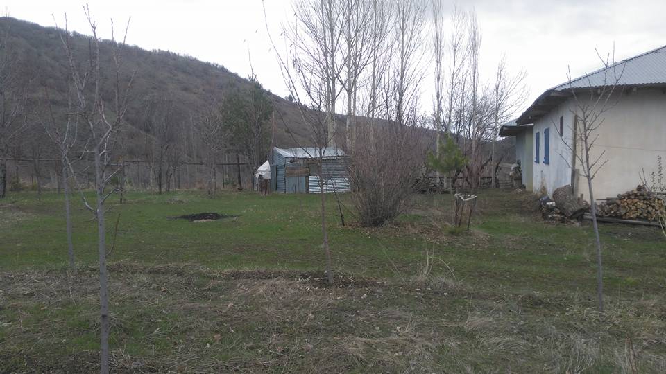 Refahiye Tülüköy Köyü Resimleri 7