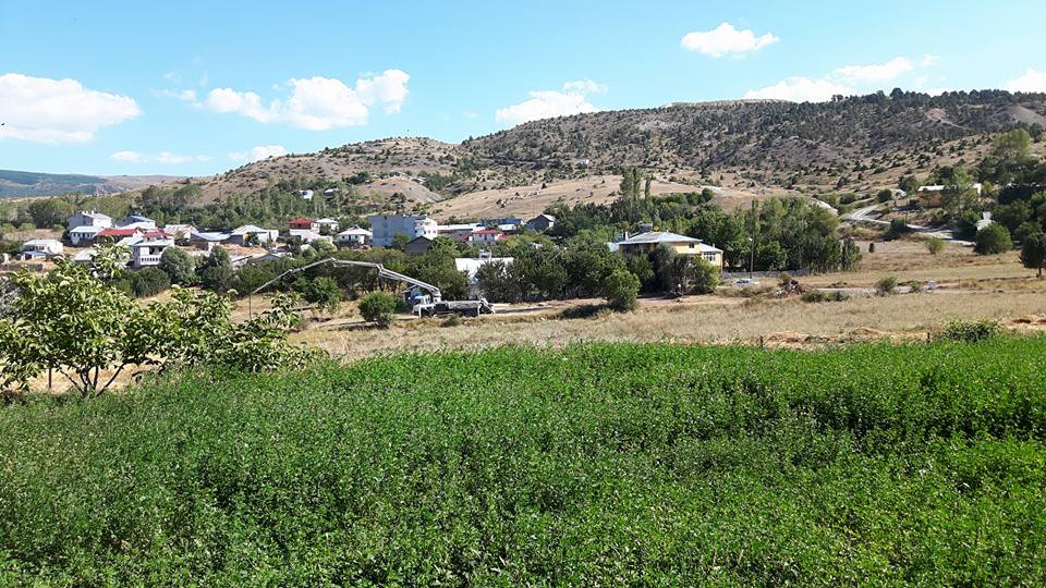 Refahiye Yeniköy Köyü Resimleri 1