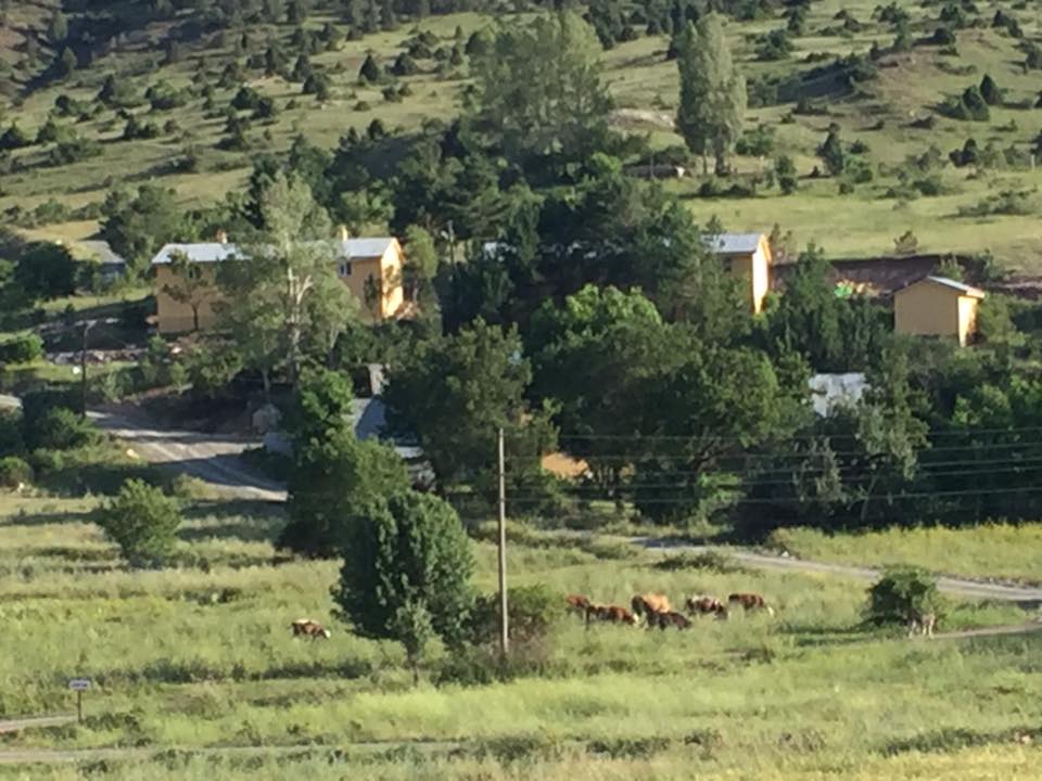 Refahiye Yeniköy Köyü Resimleri 5