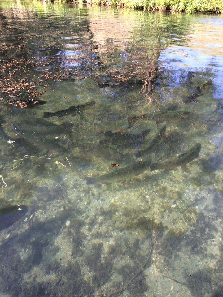 Gürün Akdere Köyü Resimleri 23