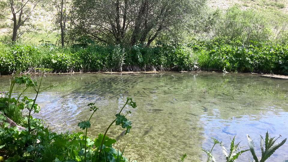 Gürün Akdere Köyü Resimleri 28