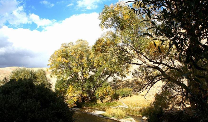 Gürün Akdere Köyü Resimleri 30
