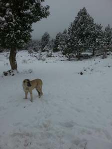 Adana Saimbeyli Eyüplü Köyü Resimleri 1