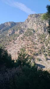 Adana Saimbeyli Eyüplü Köyü Resimleri 12