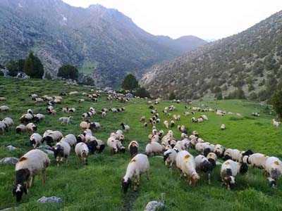 Adana Saimbeyli Eyüplü Köyü Resimleri 19