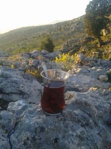 Adana Saimbeyli Eyüplü Köyü Resimleri 21