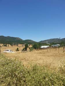 Adana Saimbeyli Eyüplü Köyü Resimleri 24