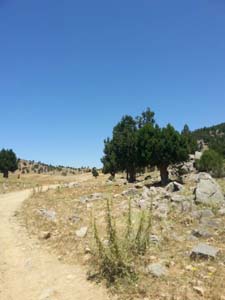 Adana Saimbeyli Eyüplü Köyü Resimleri 25