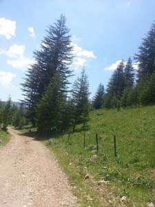 Adana Saimbeyli Eyüplü Köyü Resimleri 27