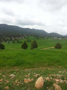 Adana Saimbeyli Eyüplü Köyü Resimleri 28