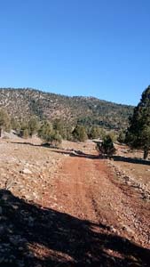 Adana Saimbeyli Eyüplü Köyü Resimleri 6